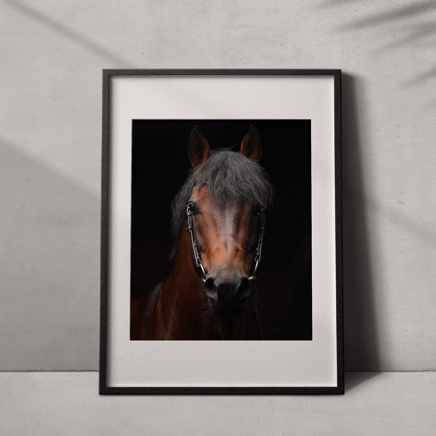 Portrait of a horse #06 - Limited Edition - ArtDarts poster