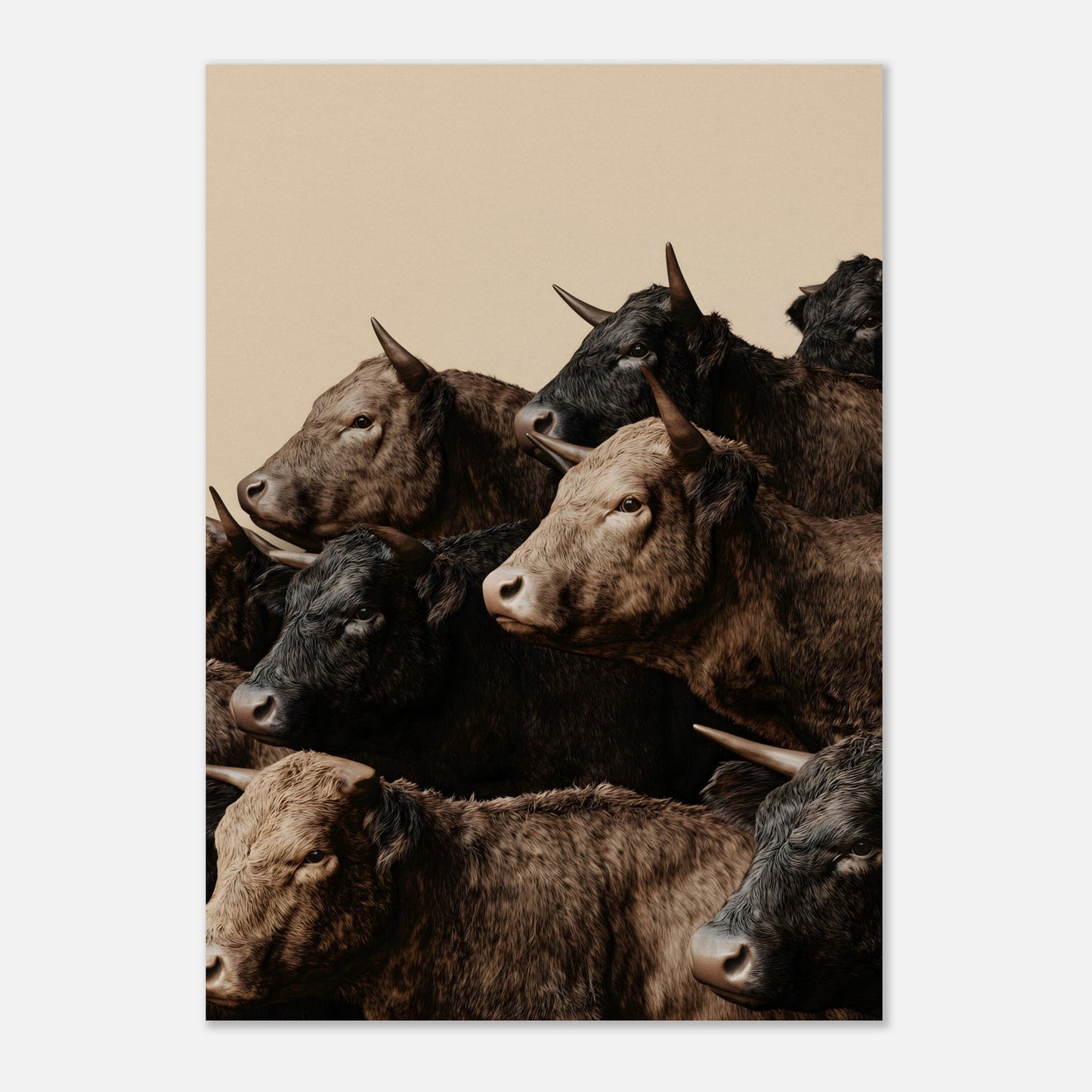 This illustration depicts a group of oxen with varying shades of brown and black fur, closely packed together against a plain beige background.

This poster will fit well in rustic or farmhouse-style interiors, animal-themed spaces, or art collections focusing on wildlife.