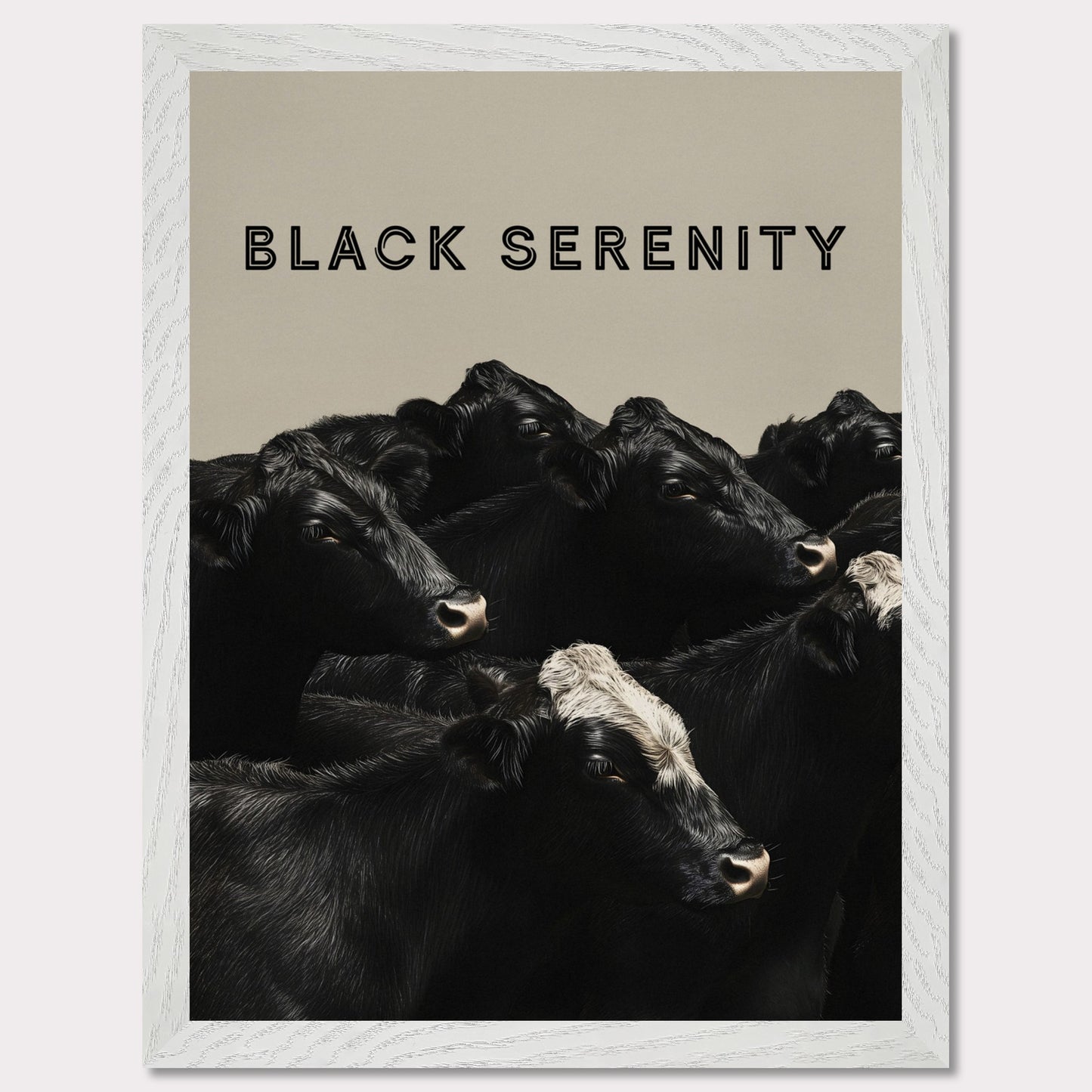 This image showcases a serene group of black cows, with one cow featuring a distinctive white marking on its head. The title "BLACK SERENITY" is prominently displayed at the top, emphasizing the calm and peaceful nature of the scene.