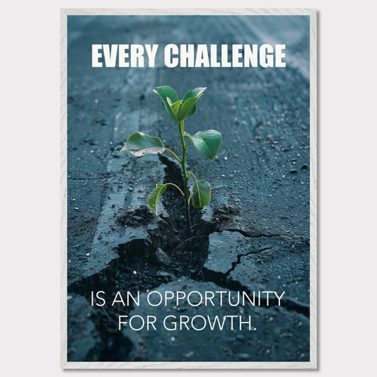 A motivational poster featuring a small green plant sprouting through a crack in the asphalt. The text on the poster reads "EVERY CHALLENGE IS AN OPPORTUNITY FOR GROWTH." The image symbolizes resilience and perseverance.