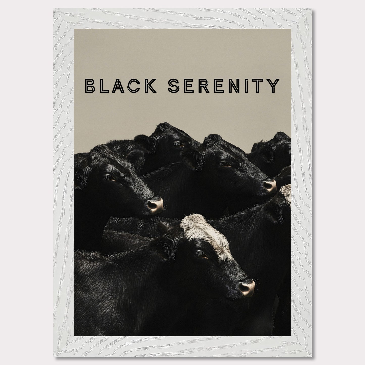 This image showcases a serene group of black cows, with one cow featuring a distinctive white marking on its head. The title "BLACK SERENITY" is prominently displayed at the top, emphasizing the calm and peaceful nature of the scene.