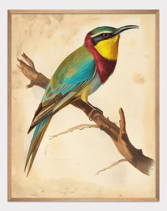 Hummingbird on a branch Poster