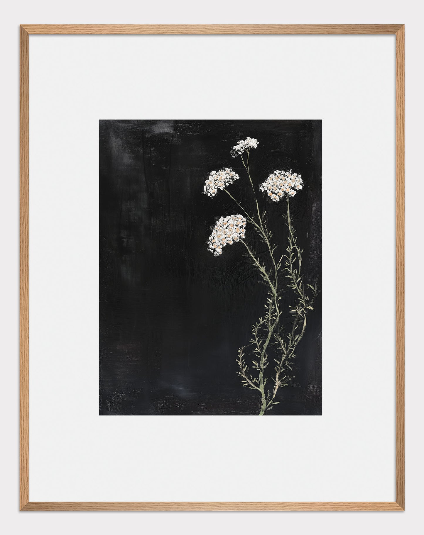 Yarrow on a black background Poster - ArtDarts poster