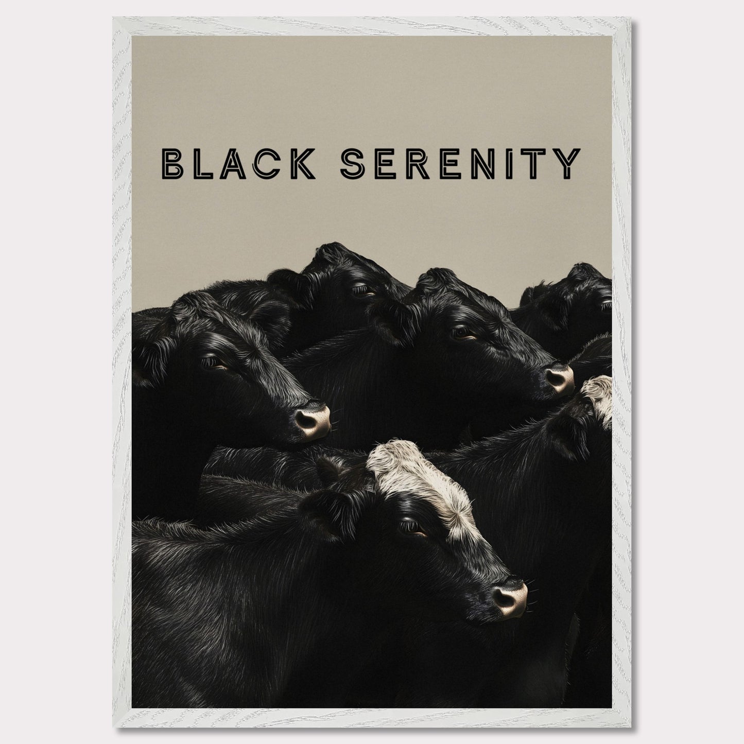 This image showcases a serene group of black cows, with one cow featuring a distinctive white marking on its head. The title "BLACK SERENITY" is prominently displayed at the top, emphasizing the calm and peaceful nature of the scene.