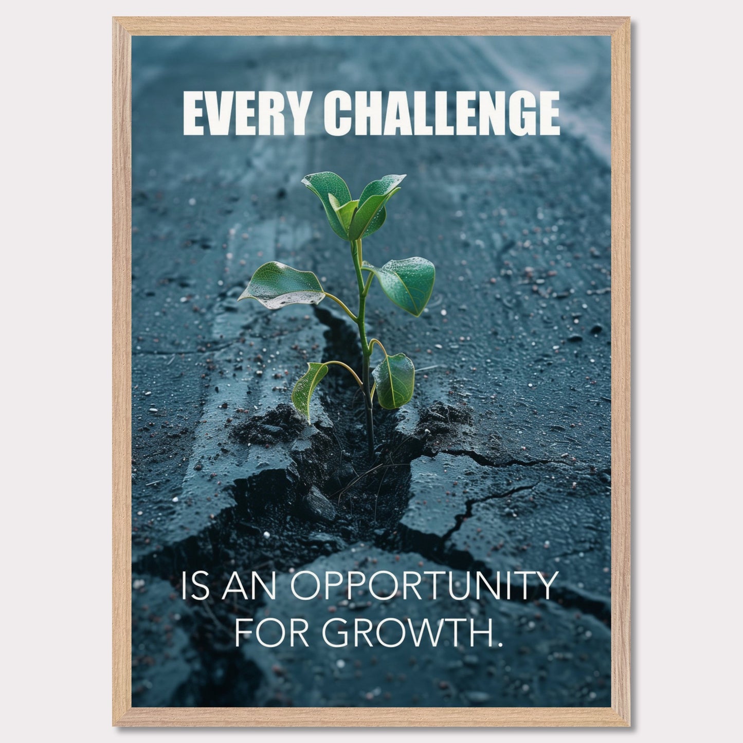 A motivational poster featuring a small green plant sprouting through a crack in the asphalt. The text on the poster reads "EVERY CHALLENGE IS AN OPPORTUNITY FOR GROWTH." The image symbolizes resilience and perseverance.